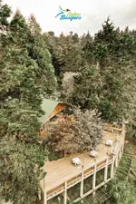Entrebosques