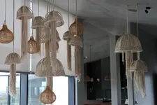 CNS Santa Cruz (Movement & Nature House)