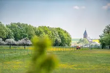 Waldesblick Hotel-Restaurant