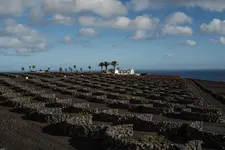 Hotel Cesar Lanzarote