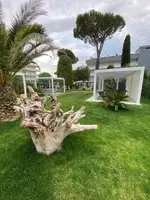 Hotel Al Cigno