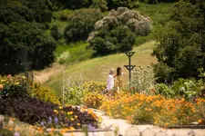 Carmel Valley Ranch (The Unbound Collection by Hyatt)