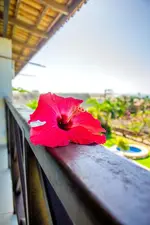 Milano Hotel Pousada Canoa Quebrada