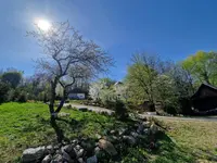 Provence Suceava