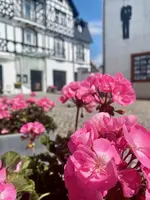 Hotel Rejs