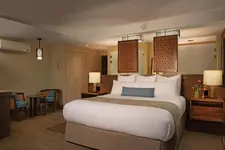 Secrets Papagayo