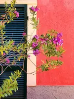 Boutique Hotel Novecento