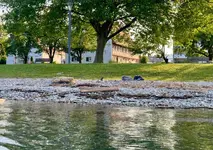 SeeHotel Amtshof