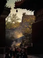 Happy Dragon Courtyard