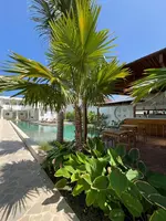 Quma Hotel