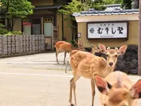 Kotonoyado Musashino