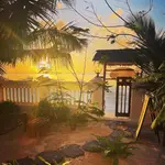 Mambo Paradise