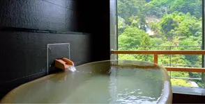 Arima Onsen Gekkoen Korokan