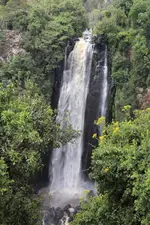 Panari Resort (BW Signature Collection)