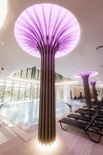 Hotel Ivascu