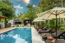 The Oasis Harbor
