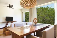 El Mangroove Papagayo