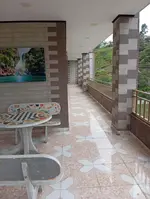 Hollywood Paradise Hotel