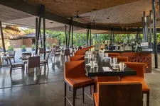 El Mangroove Papagayo
