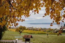 Parkhotel St.Leonhard