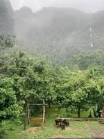 Khao Sok Green Mountain View