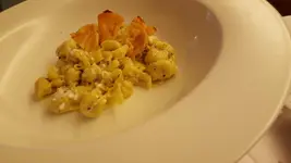 Hotel Piroga Padova