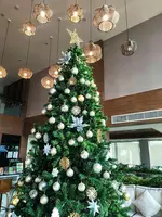 Teva Valley Resort