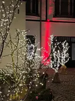 Hotel Rejs