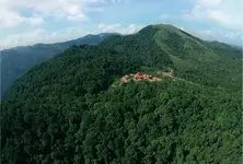 Wild Planet Jungle Resort