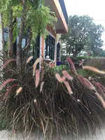 Sata House Boutique Resort
