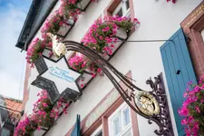 derSTERN Hersfeld
