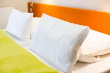 Hotel Windschur