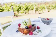 Spicers Vineyards Estate