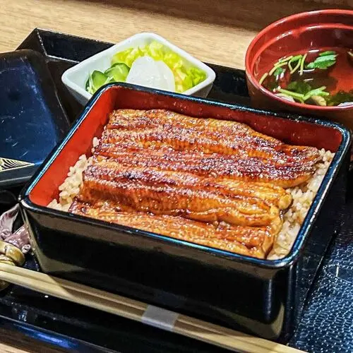 Mejiro Zorome in Tokyo