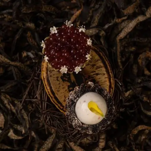 Coco Dining in Ho Chi Minh City