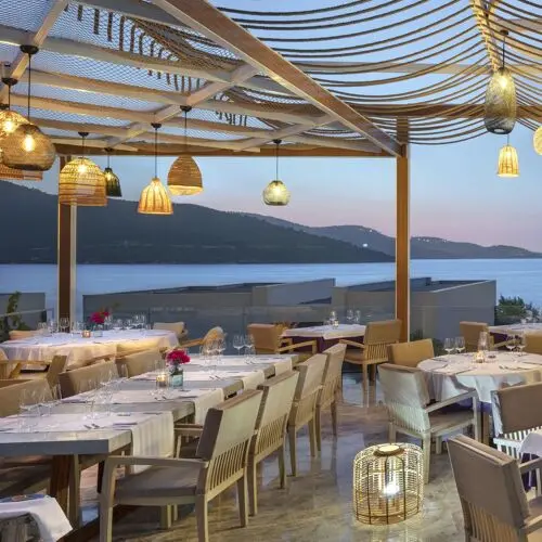 Malva in Bodrum