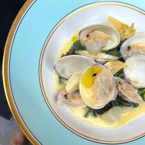 Runner Up in Brooklyn