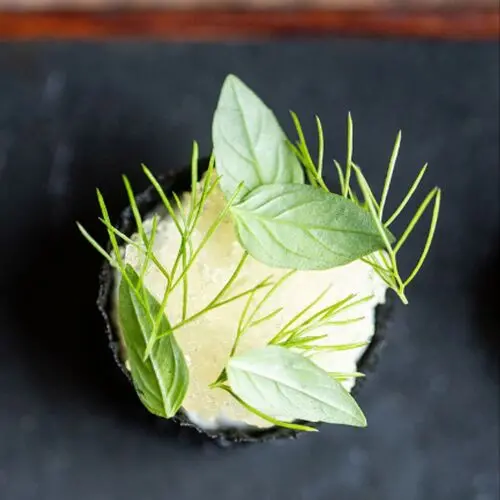 The Warwick in Royal Leamington Spa