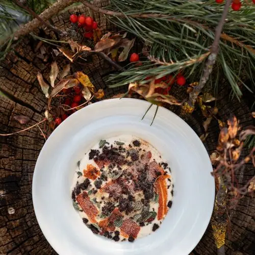 Kohout NA VÍNĚ in Brno