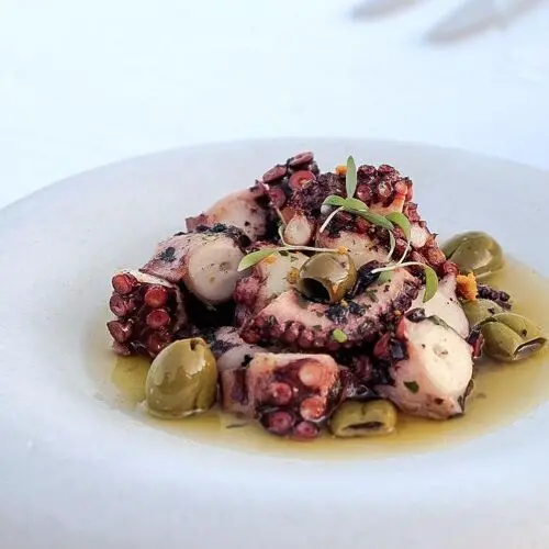 Hodan Yalıkavak in Bodrum