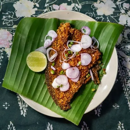 Dear Phangan in Surat Thani