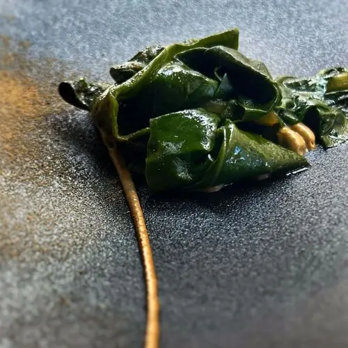 539, Plats Forts in Puigcerdà