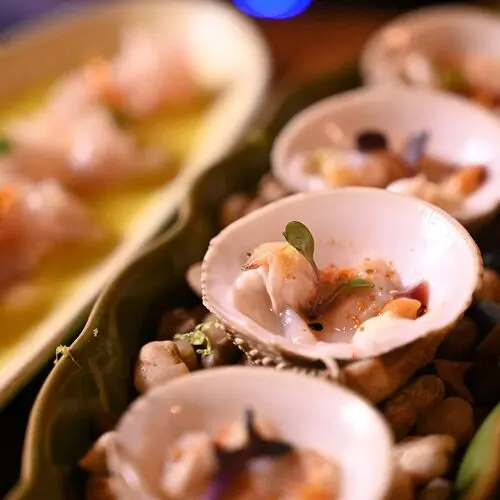 Trasmallo in Pontevedra