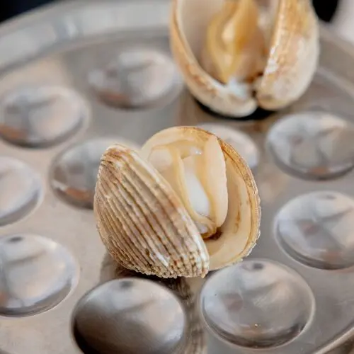 O Loxe Mareiro in Carril