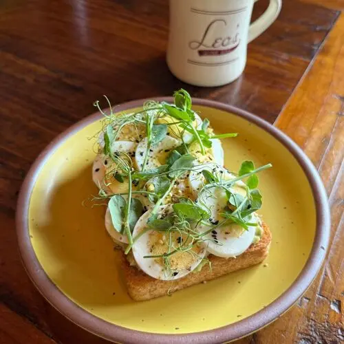 Leo's House of Thirst in Asheville