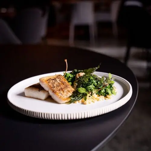 Tiszavirág in Szeged