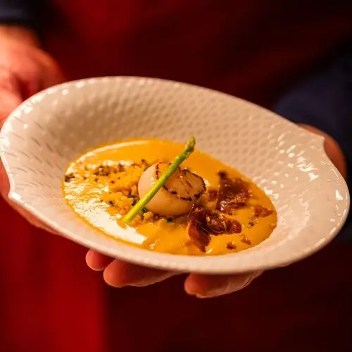 Schote in Bergisch Gladbach