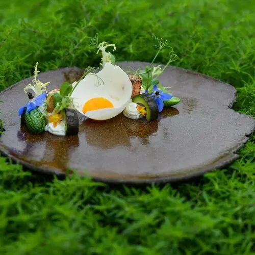 Dveri Pax in Jarenina