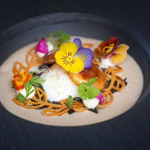 Les Nymphéas in Chasse-sur-Rhône