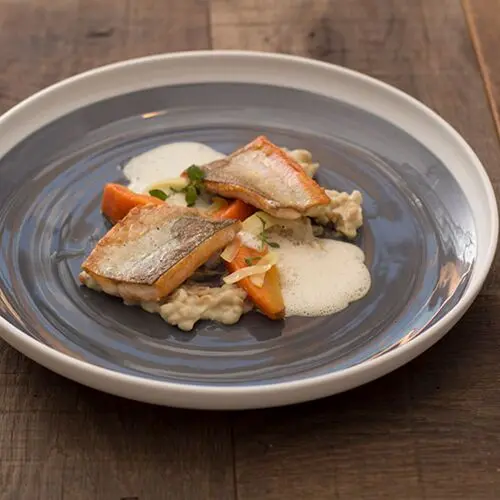 Floh in Langenlebarn